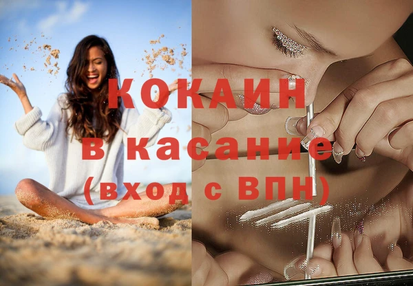 твердый Новодвинск