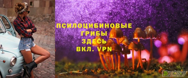 твердый Новодвинск