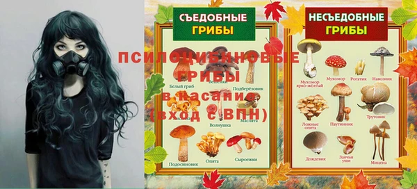 твердый Новодвинск