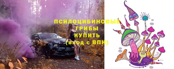 ECSTASY Новокубанск