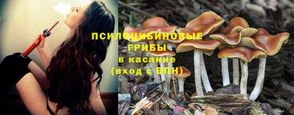 ECSTASY Новокубанск