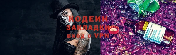 индика Семикаракорск