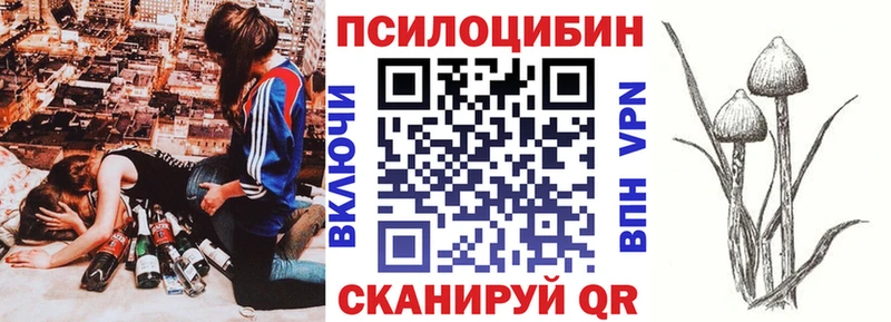 где можно купить наркотик  Арзамас  блэк спрут ONION  Галлюциногенные грибы мицелий 